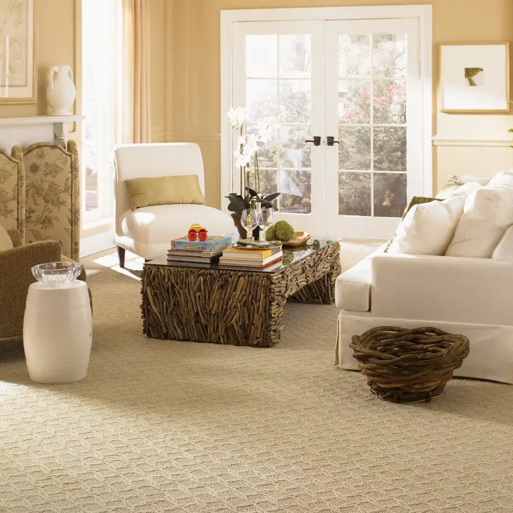 berber-carpet-in-the-living-room
