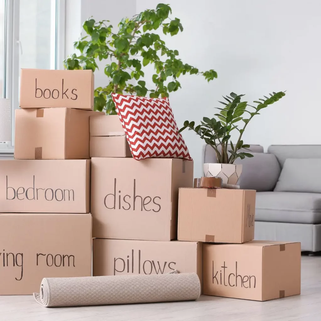 moving boxes in living room